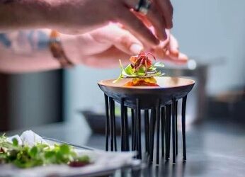 Kiełki z firmy Koppert Cress – małe, ale potężne!